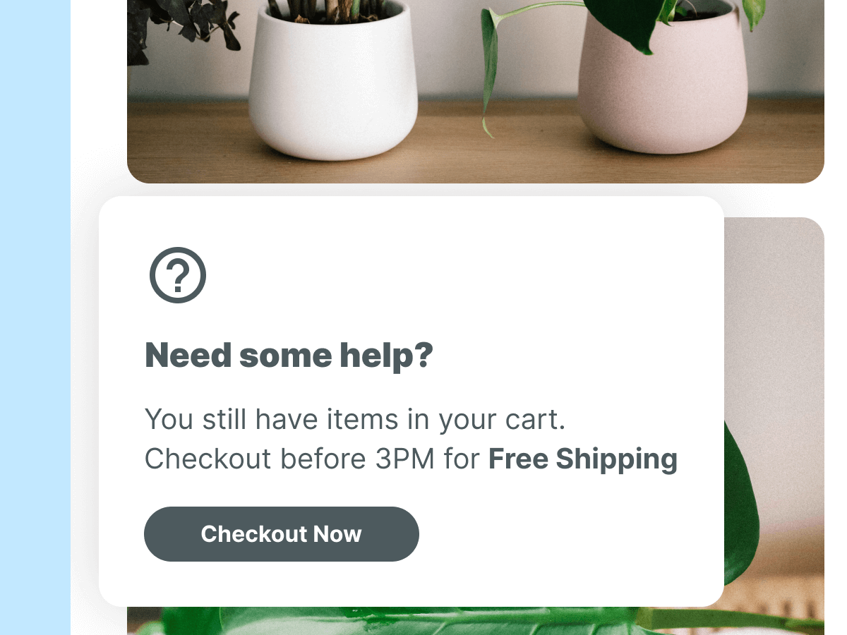 A digital shopping reminder displays various indoor plants in pots, accompanied by a message prompting users to check out items in their cart before 3 PM to qualify for free shipping. A "Checkout Now" button is also visible.