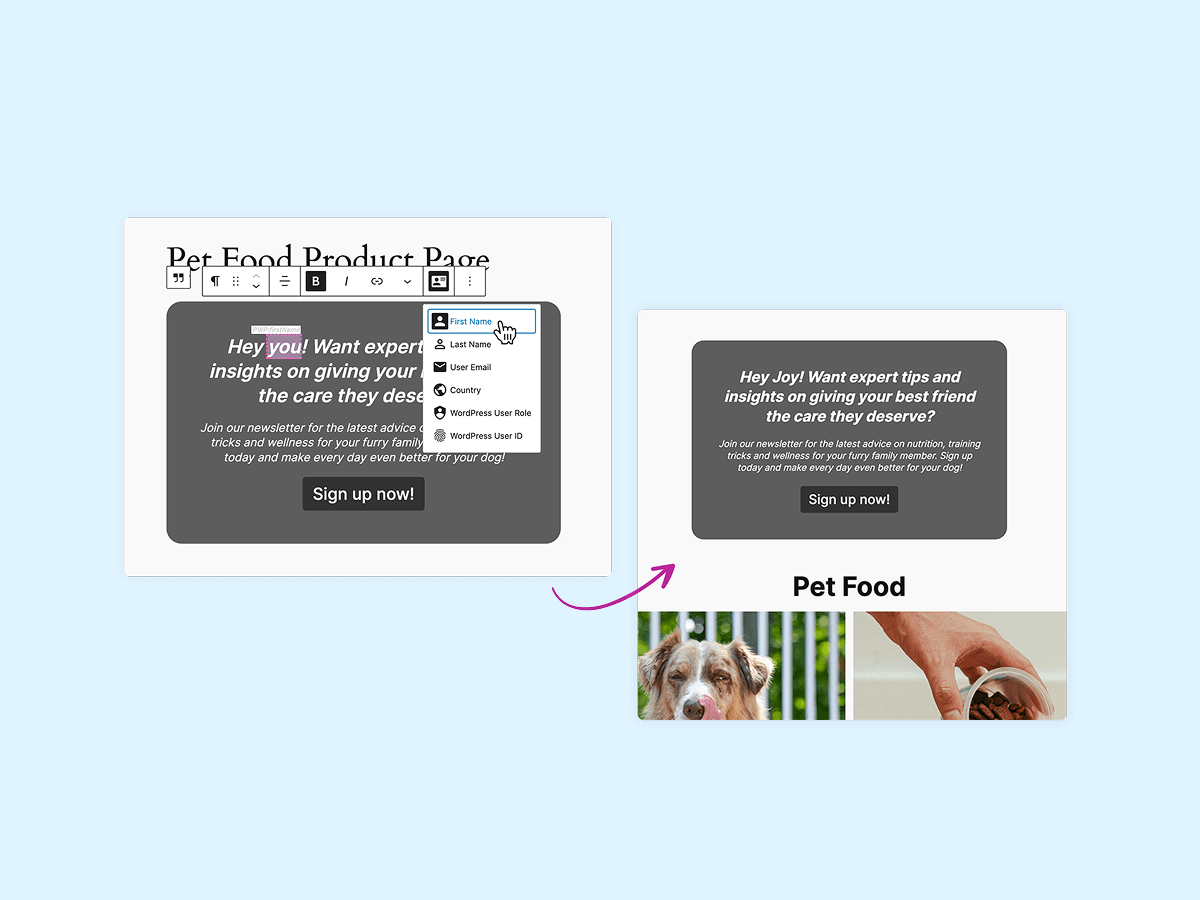 An illustration showing a pet food product page with a call to action inviting users to sign up for expert tips and insights. The design transitions from a textual interface to a visual layout featuring a dog, emphasizing pet care.