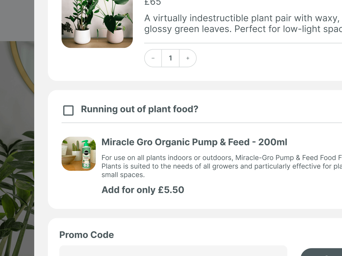 A screenshot of an online shopping interface displaying a pair of plants for £65, described as virtually indestructible with glossy green leaves. Below, there's an option to add Miracle Gro Organic Plant Food for £5.50.